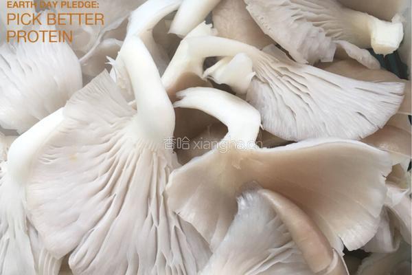 平菇炒肉的做法图解1