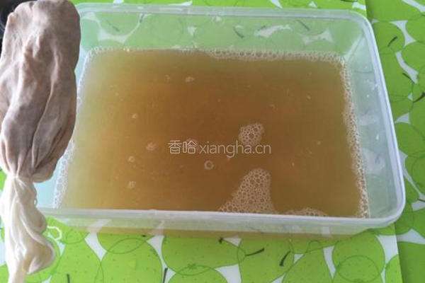 爱玉的做法图解4