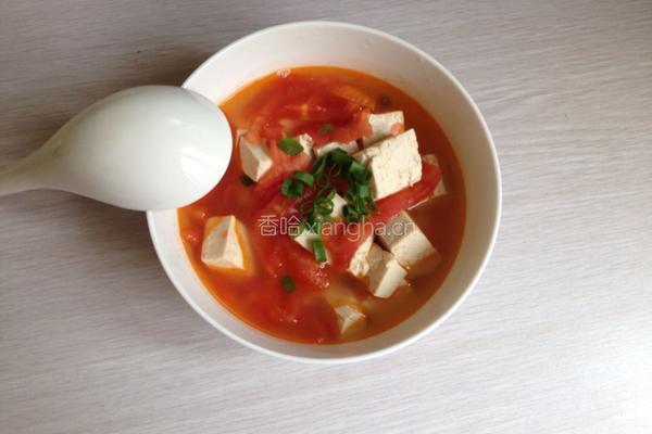 番茄豆腐汤的做法图解5