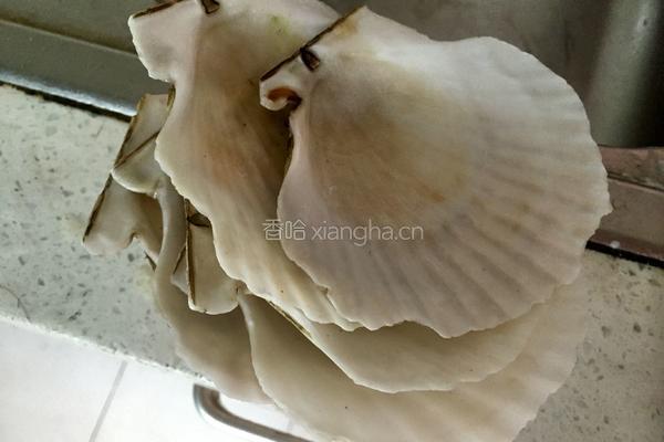 蒜蓉粉丝蒸扇贝的做法图解1