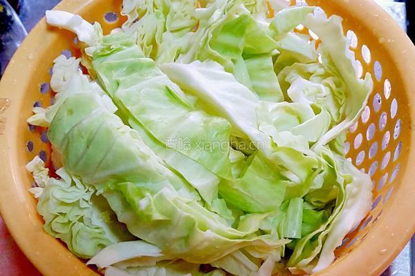 虾米炒卷心菜的做法图解2
