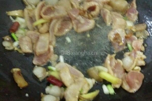 农家小炒肉的做法图解4