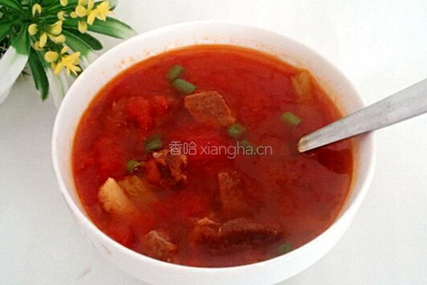 西红柿炖牛肉的做法图解10
