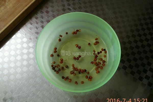 白萝卜羊肉馅饺子的做法图解1