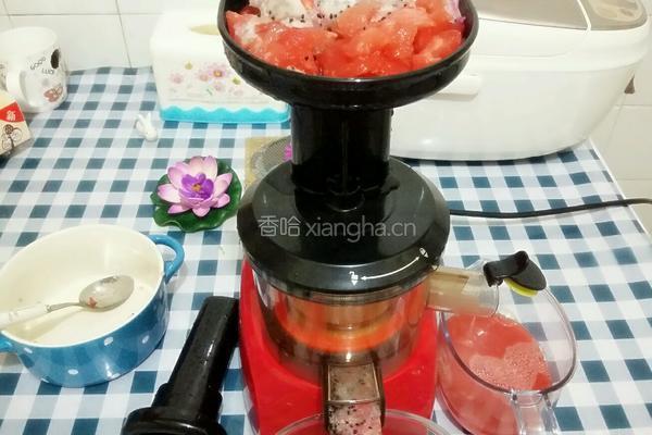 西瓜汁的做法图解5