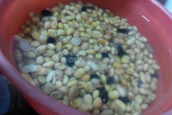 豆浆的做法图解2