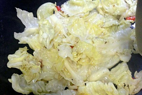 香辣卷心菜烧豆腐的做法图解3