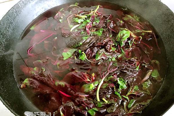 圣女果苋菜一口香的做法图解3