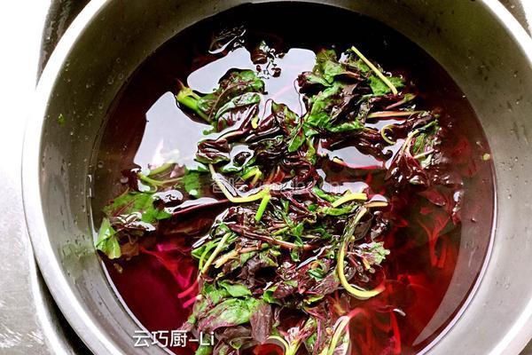 圣女果苋菜一口香的做法图解4
