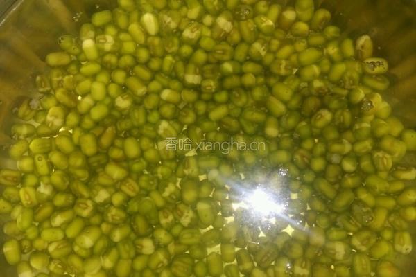绿豆芽的做法图解1