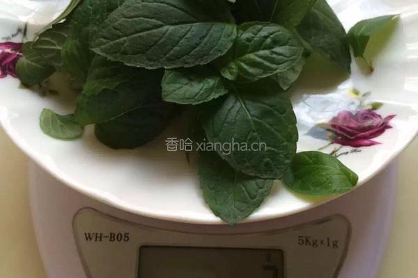 薄荷煎蛋饼的做法图解1