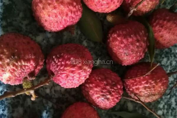 荔枝奶昔的做法图解1
