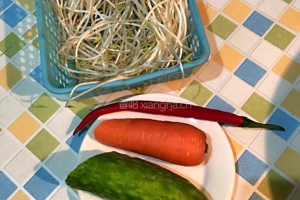 凉拌绿豆芽黄瓜的做法图解1