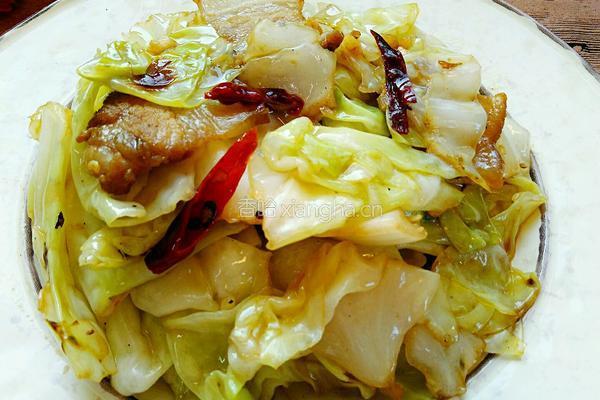 手撕卷心菜的做法图解13