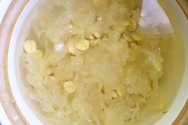 哈密瓜糖水的做法图解6