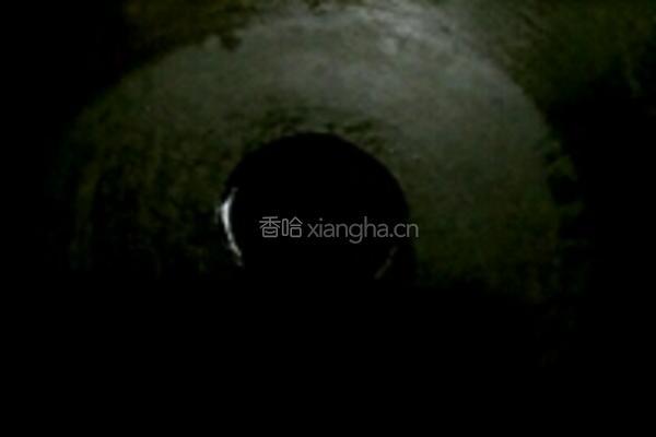 白萝卜蒸肉的做法图解13