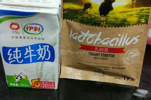 自制原味酸奶的做法图解1