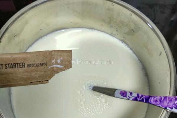 自制原味酸奶的做法图解3