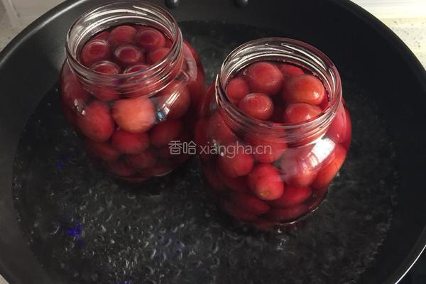 樱桃罐头的做法图解5