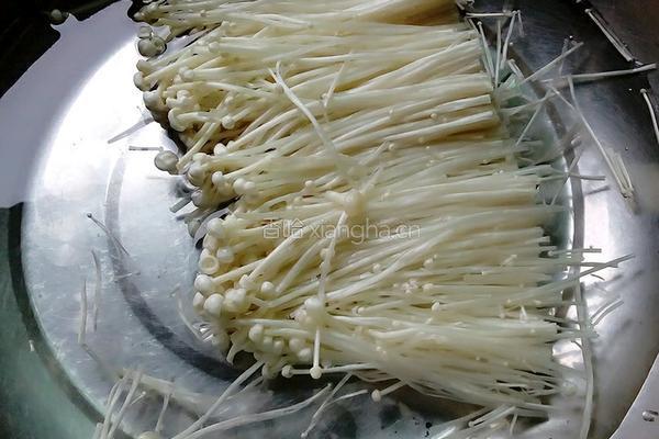 凉拌金针菇的做法图解4