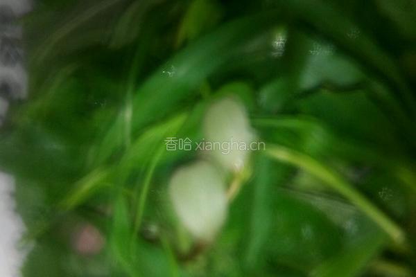 野菜炒面的做法图解1