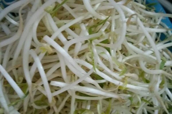 绿豆芽炒咸菜的做法图解1