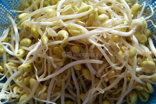豆芽炒辣椒的做法图解1