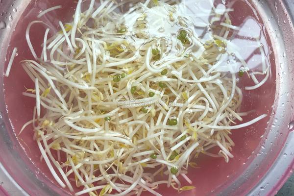 绿豆芽炒粉虫的做法图解2