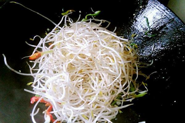 双椒炒绿豆芽的做法图解8