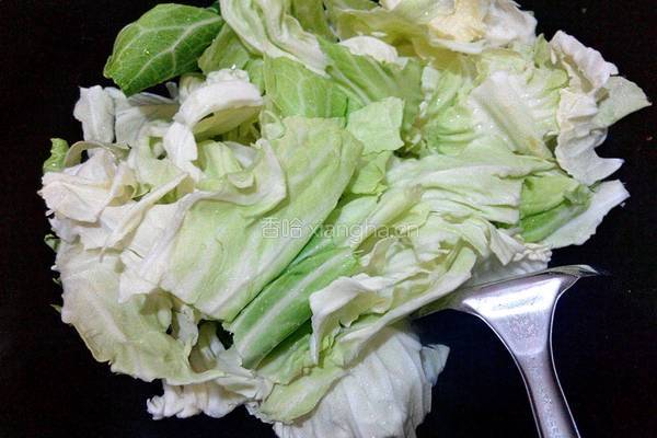 蚝油卷心菜的做法图解4