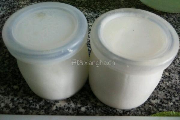 红肉火龙果奶昔冰块的做法图解2