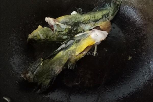 萝卜丝昂刺鱼汤的做法图解5