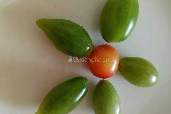 西瓜沙冰的做法图解5