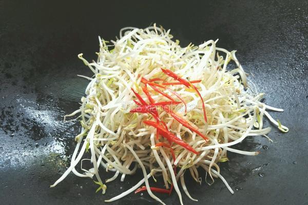 炒绿豆芽的做法图解4