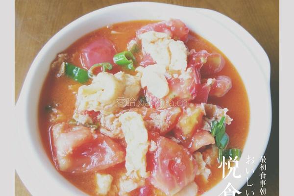 西红柿鸡蛋的做法图解4