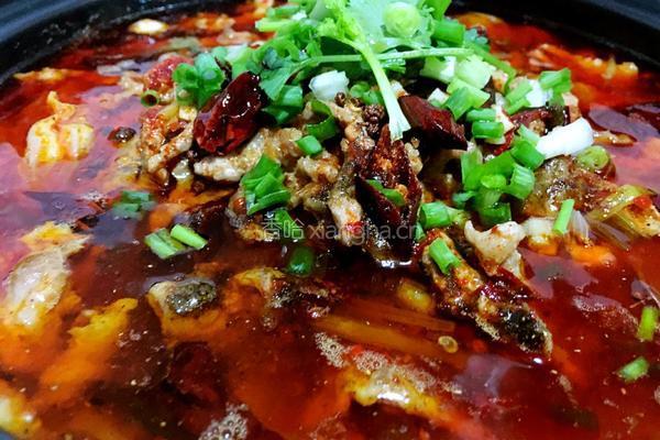 水煮肉片的做法图解16