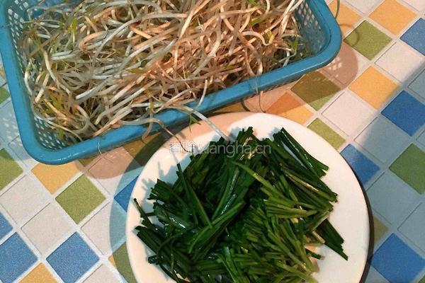 韭菜炒绿豆芽的做法图解2