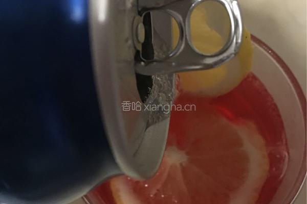 与吸血鬼的邂逅（树莓味气泡酒）的做法图解6