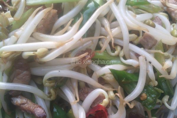 芹菜绿豆芽炒肉丝的做法图解7