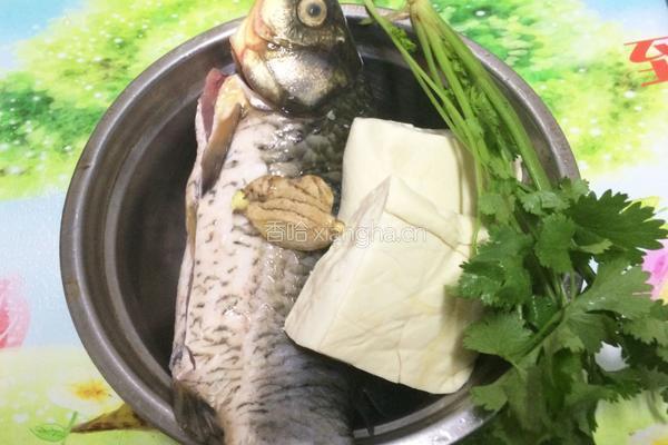 豆腐炖鲫鱼汤的做法图解1