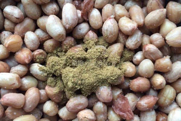 格格牌自制五香花生米的做法图解5