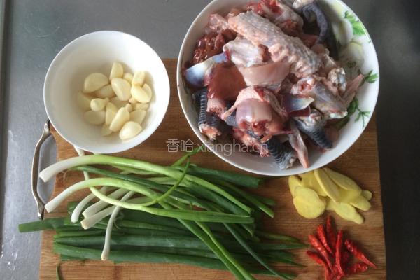 红烧鸡块的做法图解2