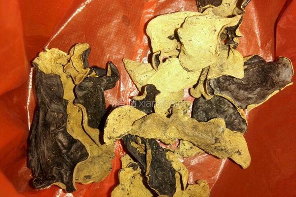 红枣木耳糖水的做法图解1