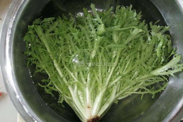 丁香鱼拌苦菊的做法图解1