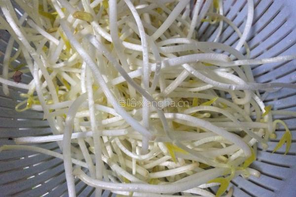 胡萝卜炒绿豆芽的做法图解2