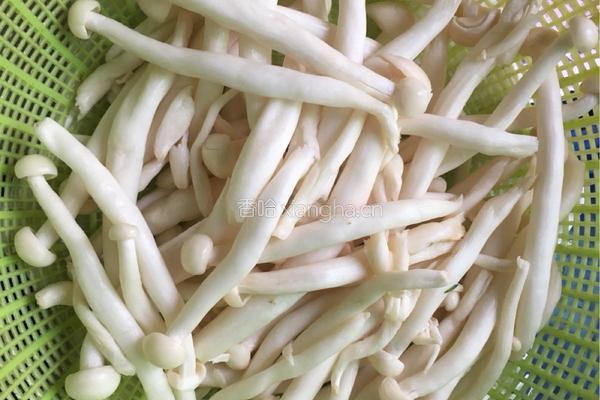 彩椒海鲜菇炒鸡蛋的做法图解1