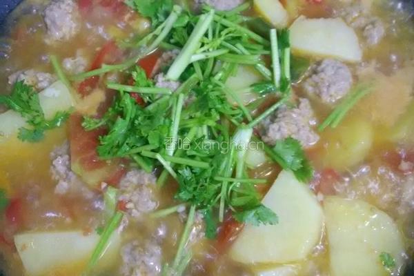 西红柿土豆煮肉丸的做法图解14