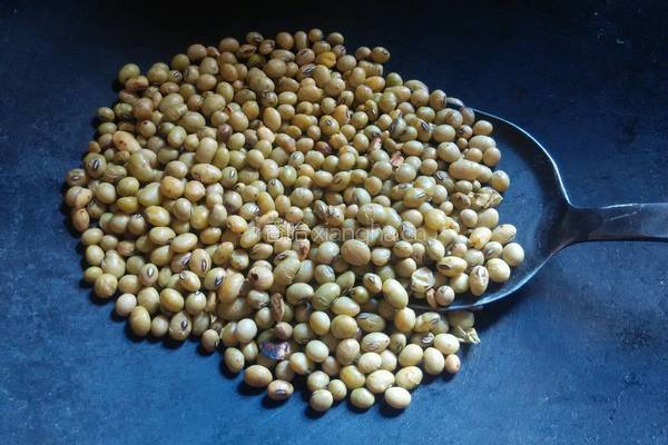 自制黄豆粉的做法图解2