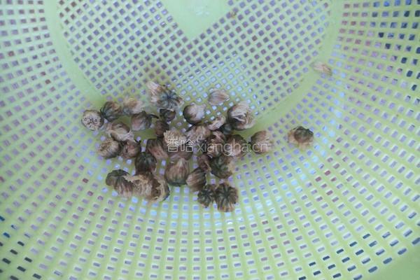 桂圆菊花茶的做法图解3