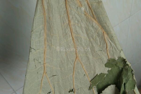 老冬瓜荷叶汤的做法图解2